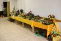 Výstava ovocia a zeleniny 2016 - vystavené exponáty Výstava ovocia a zeleniny 2016 - vystavené exponáty