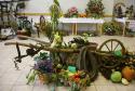 Výstava ovocia a zeleniny 2016 - vystavené exponáty Výstava ovocia a zeleniny 2016 - vystavené exponáty