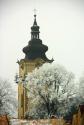 Biela, mrazivá výzdoba... 22.12.2016 Biela, mrazivá výzdoba... 22.12.2016
