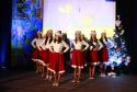 VIANOČNÝ KONCERT - ZUŠ v Ľubici VIANOČNÝ KONCERT - ZUŠ v Ľubici